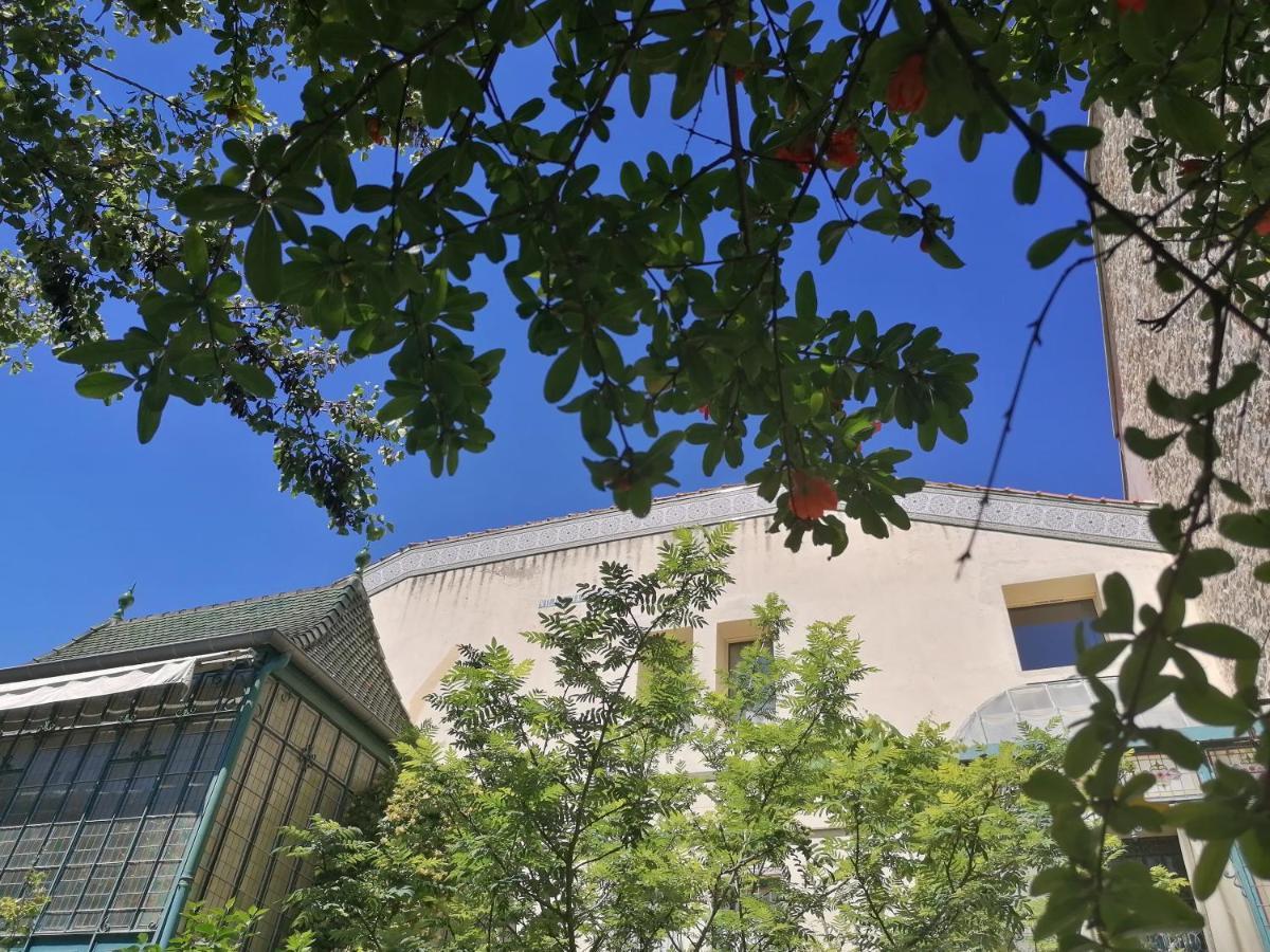 Villa Sainte Marie Narbonne Bagian luar foto